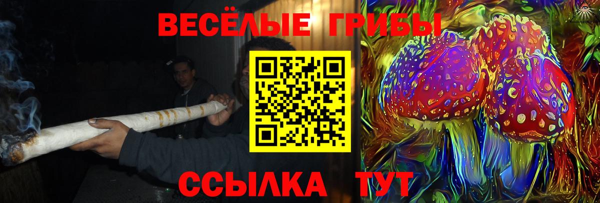 Галлюциногенные грибы GOLDEN TEACHER Алексеевка