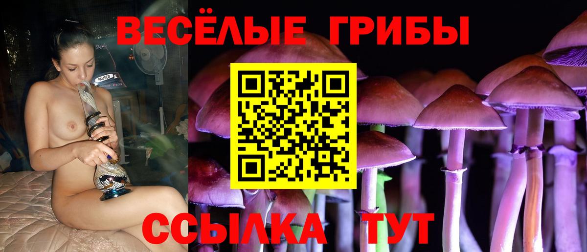 Псилоцибиновые грибы Cubensis Алексеевка