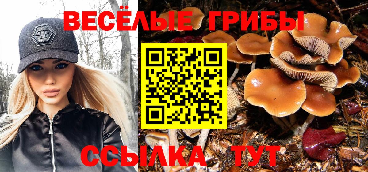 Псилоцибиновые грибы Psilocybe  Алексеевка 